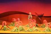 The Little Prince, Boston Lyric Opera, 2004/05 Season
