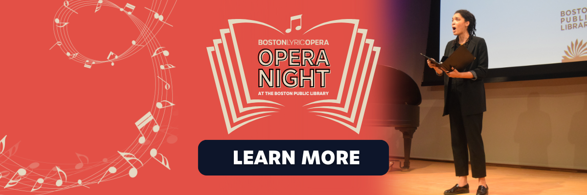 Opera Night